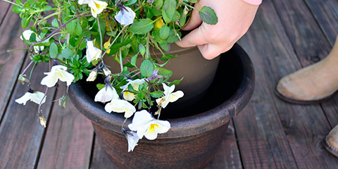 Ready Refill&reg; Replacement